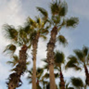 Meet your Posher, Jodie